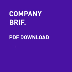 Company Brif. PDF Down load